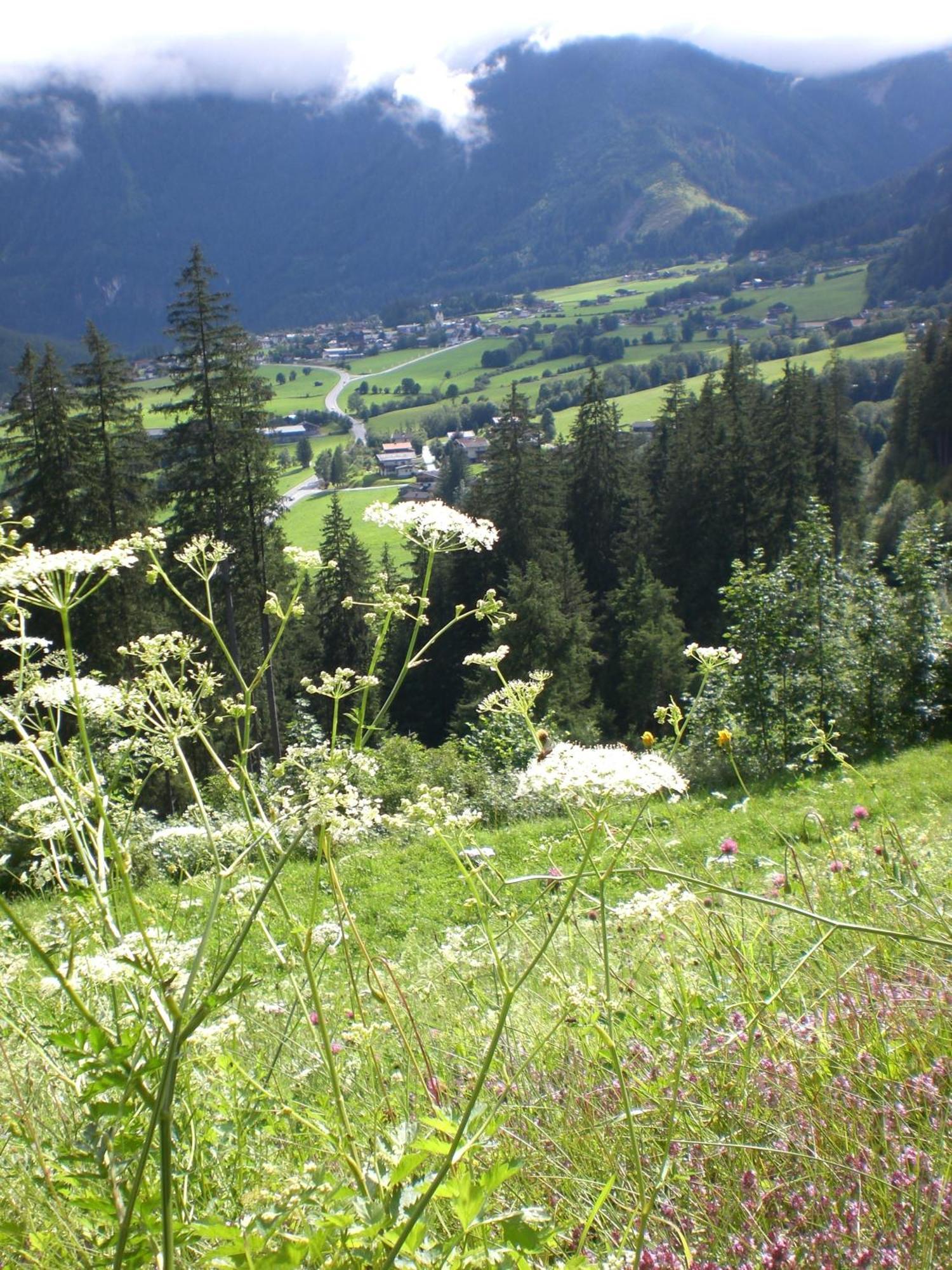 Gruppen Und Familienhof Falkenstein Hotel Krimml Exterior foto
